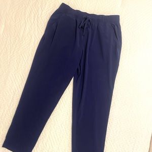 Blue Polyester & Spandex Joggers